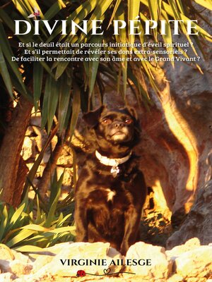 cover image of Divine pépite